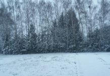 Chutes de neige en IDF et dans les HDF !