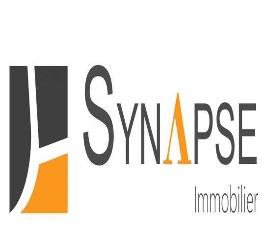 Synapse Immobilier